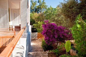 Outdoor Pictures 20