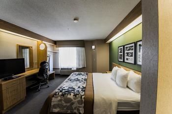 Sleep Inn & Suites Johnson City