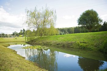 Outdoor Pictures 21
