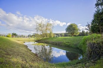 Outdoor Pictures 22