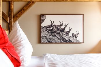 Alpenblick Weggis - Panorama & Alpen Chic Hotel