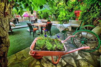 Outdoor Pictures 12