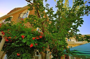 Outdoor Pictures 17