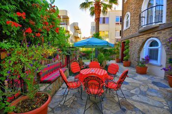 Outdoor Pictures 20