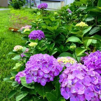 Outdoor Pictures 18