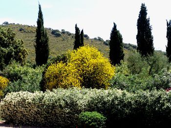 Outdoor Pictures 15