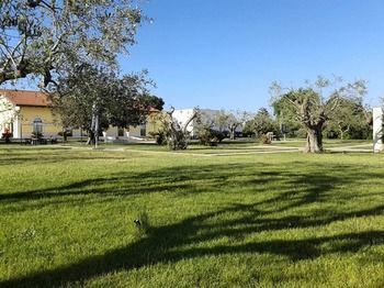 Outdoor Pictures 13