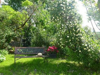 Outdoor Pictures 16