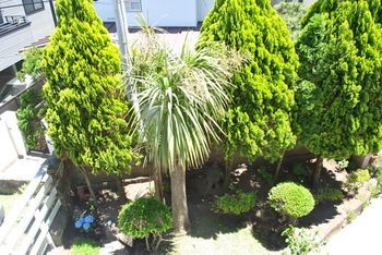 Outdoor Pictures 23