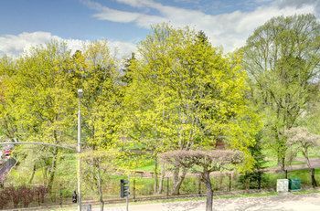 Outdoor Pictures 21