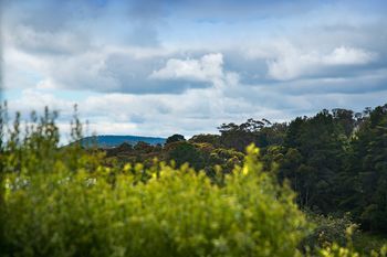 Outdoor Pictures 9