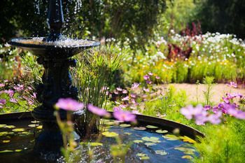 Outdoor Pictures 16
