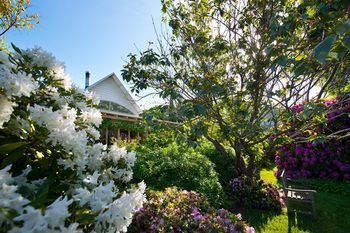Outdoor Pictures 20