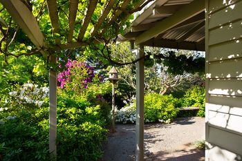 Outdoor Pictures 21
