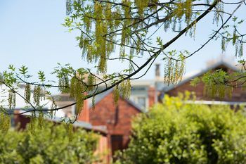 Outdoor Pictures 21