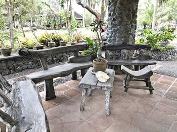 Outdoor Pictures 15