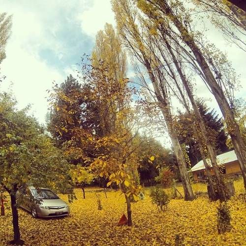 Outdoor Pictures 17