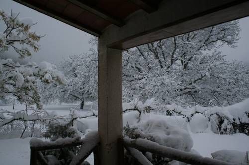 Outdoor Pictures 18