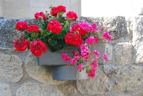 Outdoor Pictures 17
