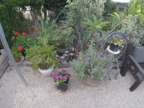 Outdoor Pictures 12