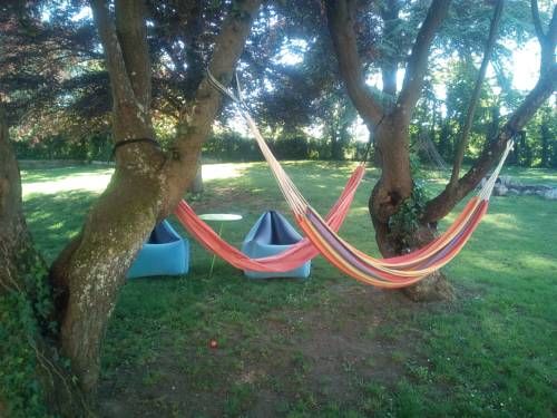 Outdoor Pictures 17