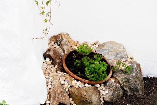 Outdoor Pictures 23