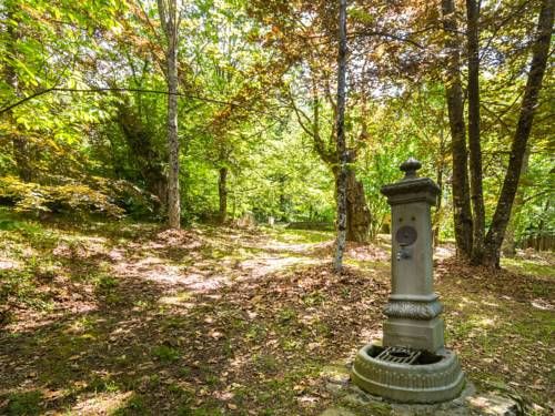 Outdoor Pictures 21