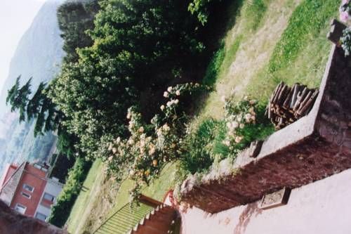 Outdoor Pictures 19