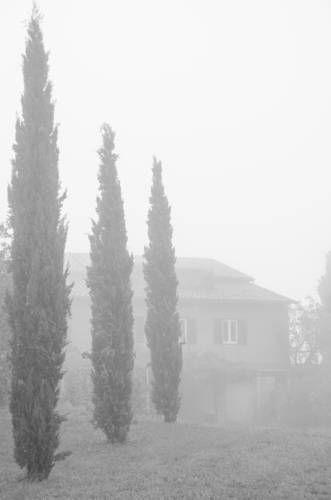 Outdoor Pictures 22