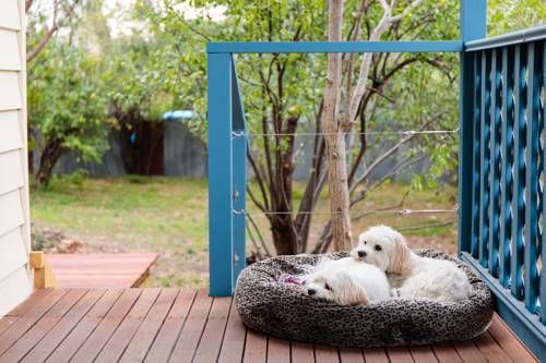 Outdoor Pictures 15
