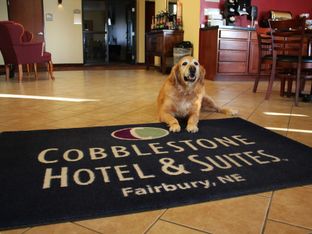 Hotel Image 5
