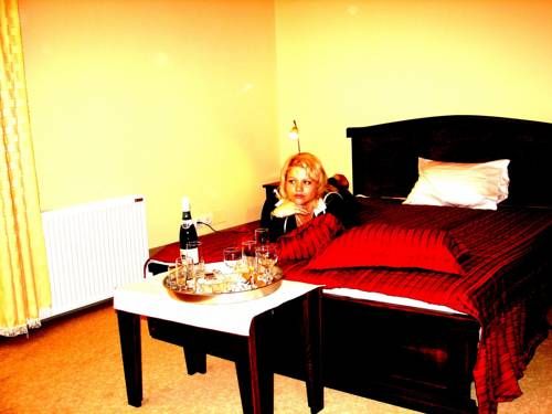 VILA MITIC LUXX SPA centar