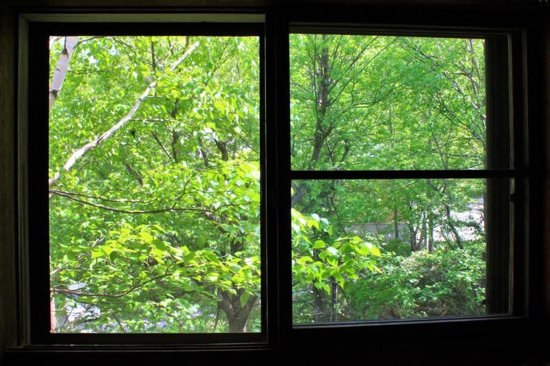 Outdoor Pictures 17