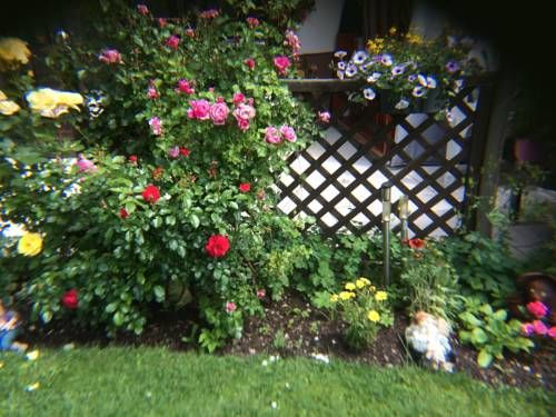 Outdoor Pictures 19