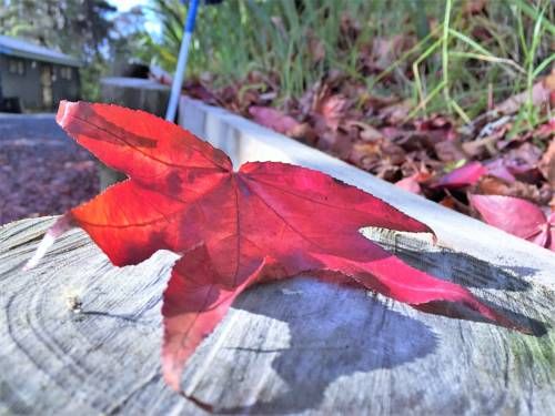 Outdoor Pictures 18