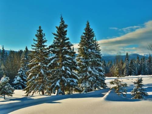 Outdoor Pictures 21