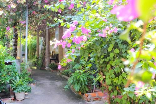 Outdoor Pictures 7
