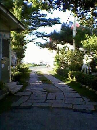 Outdoor Pictures 5