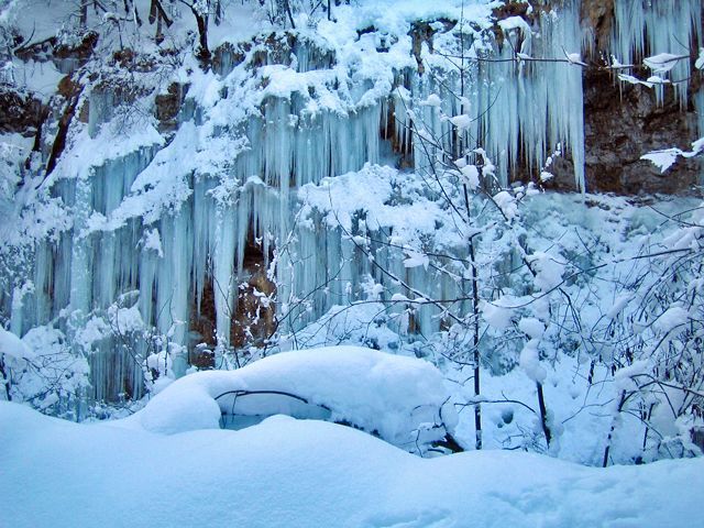 Outdoor Pictures 9