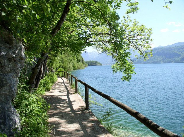 Outdoor Pictures 20