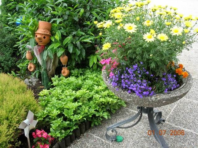 Outdoor Pictures 18