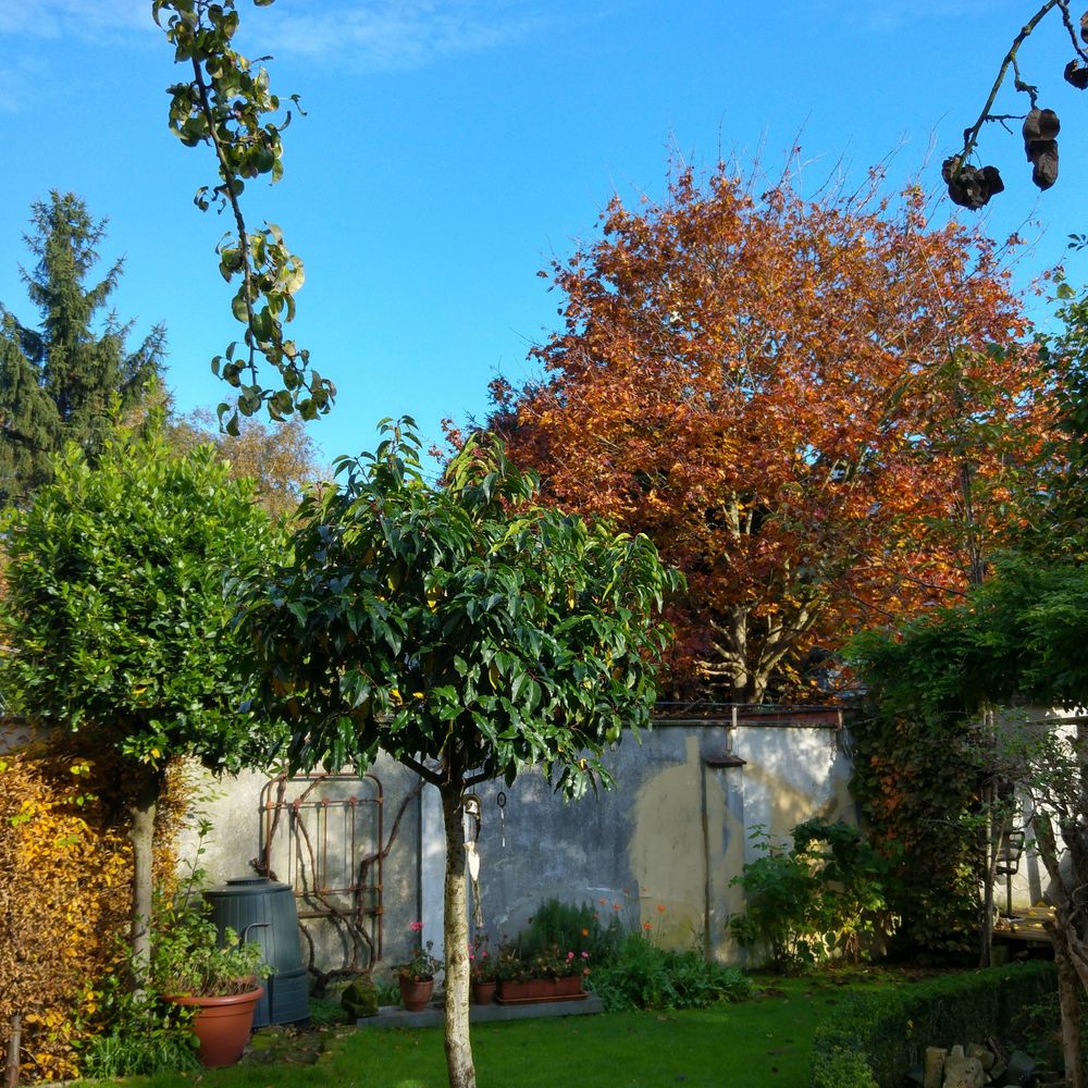Outdoor Pictures 22