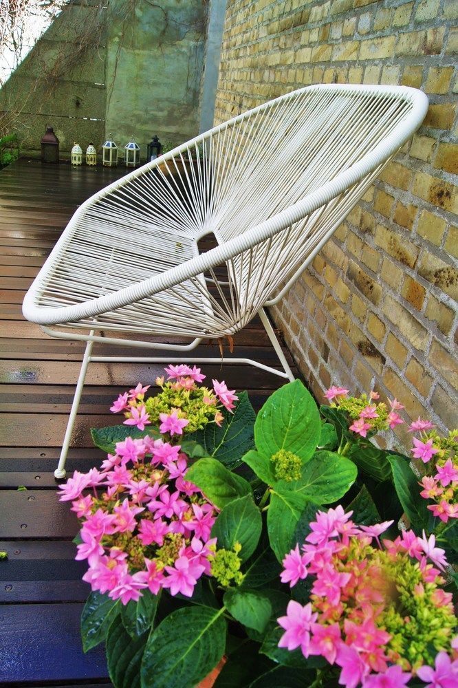 Outdoor Pictures 22