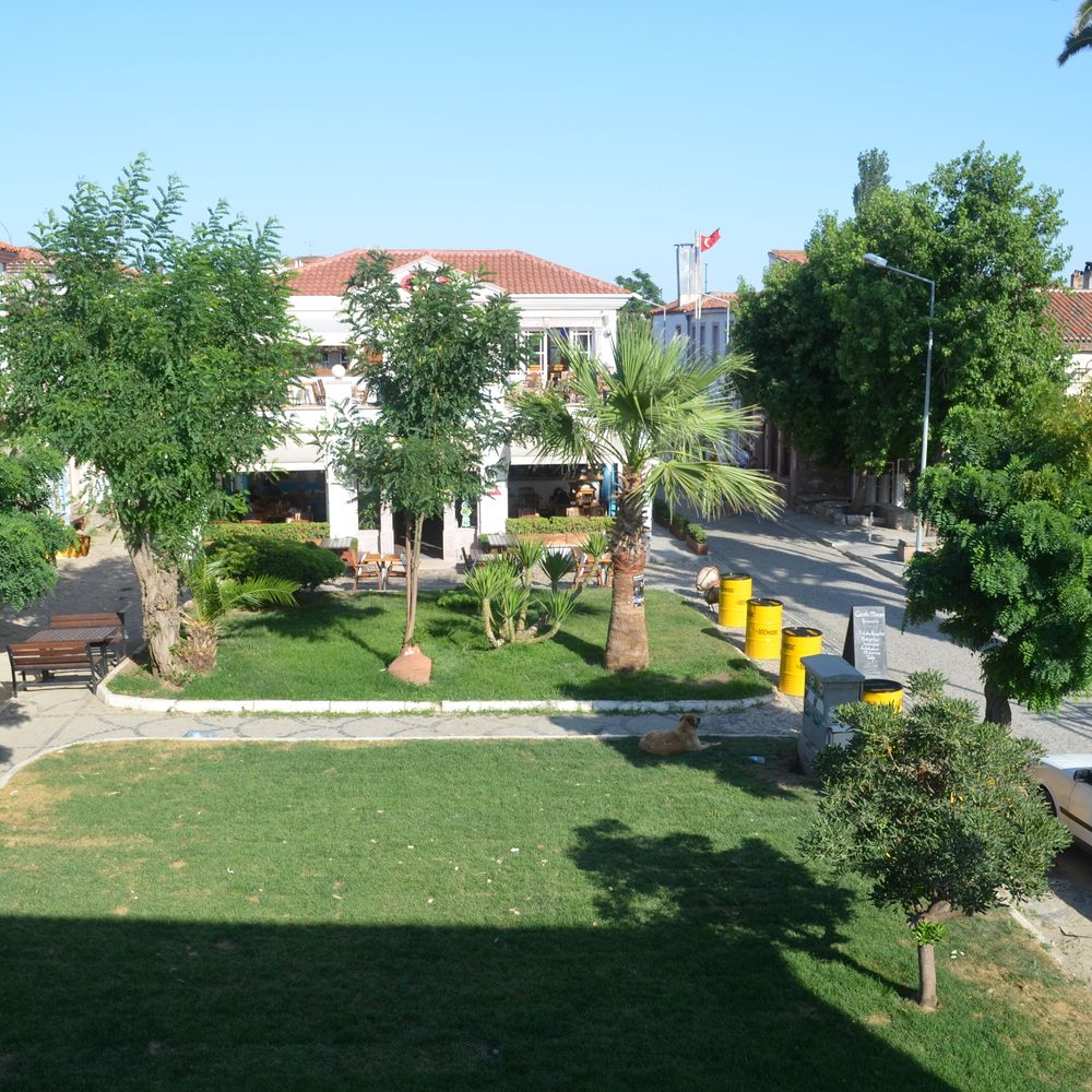 Outdoor Pictures 1