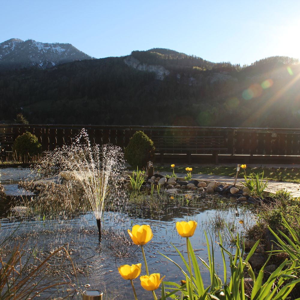 Outdoor Pictures 23