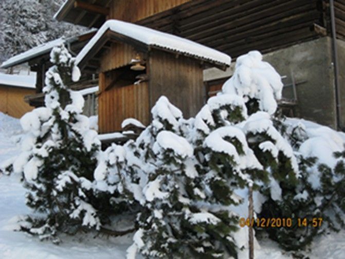 Outdoor Pictures 14