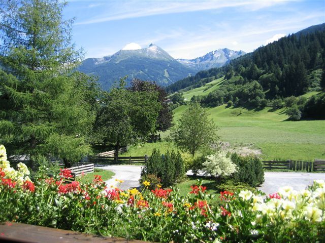 Outdoor Pictures 20