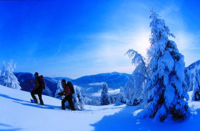 Outdoor Pictures 17