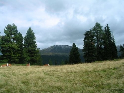 Outdoor Pictures 15