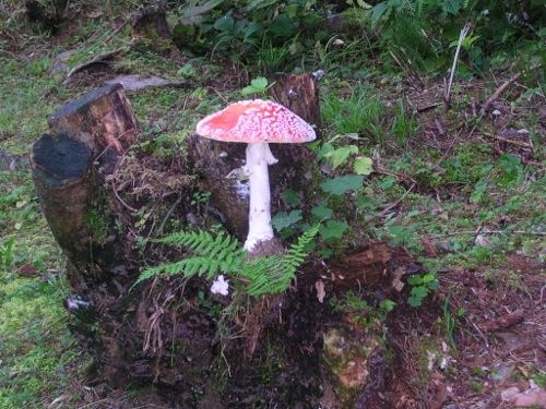 Outdoor Pictures 18